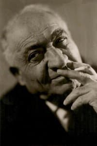 Avet Avetisyan in Давид-Бек