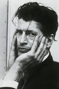 Herman Brood in Unknown Brood