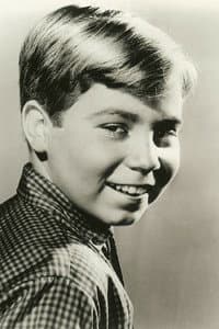 Stanley Livingston in Fred MacMurray: The Guy Next Door