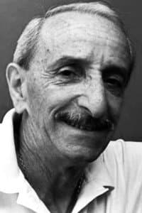 Alfonso Pícaro in En busca del brillante perdido
