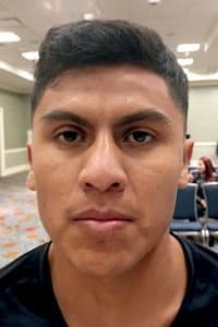 Luis Hernandez Ramos in Efe Ajagba vs. Joe Goodall
