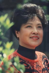jin-cai-feng in Hong lou meng