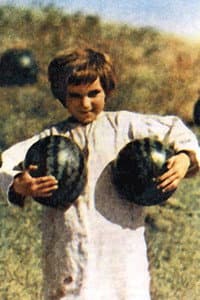 Oleksandr Sergienko in Вечір на Івана Купала