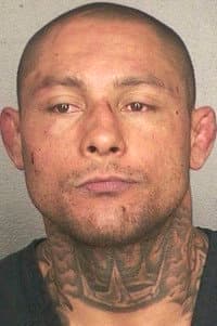 Thiago Silva in UFC 125: Resolution