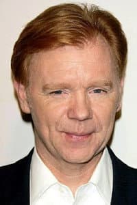 David Caruso in Crazy Times