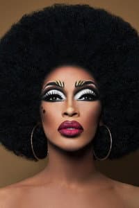 The Vixen in Couleé-D