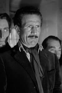 Giovanni Onorato in Le due tigri