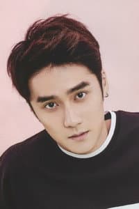 Jiang Jinfu in 步步惊心