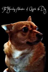 Chispita "Chi Chi" in The Marvelous Adventure of Chispita the Dog