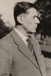 Dick Laan in Oorlog en vrede: 1918