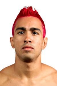 Godofredo Pepey in UFC 147: Silva vs. Franklin II