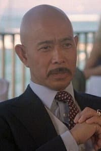 Seth Sakai in The Perfect Weapon