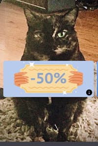 Goo in The Amityville Cute Farting Cat