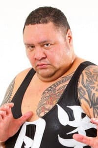 Akebono Tarō in AJPW Anniversary Tour 2013 - Day 9