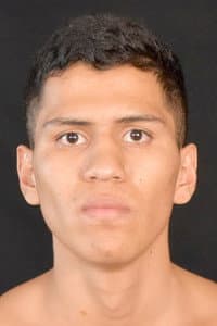 Mario Diaz Maldonado in Naoya Inoue vs. Marlon Tapales