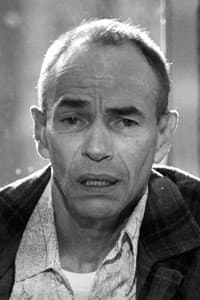 Brad Sullivan in The Untouchables
