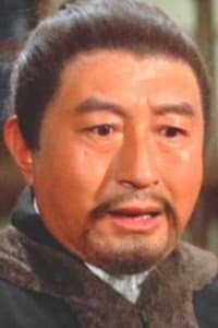 Chin Chun in Meng hu dou kuang long