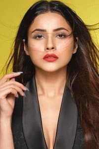 Shehnaaz Gill in Silsila SidNaaz Ka