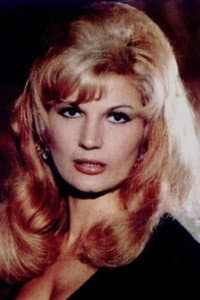 Silvana Armenulić in Koncert za komšije