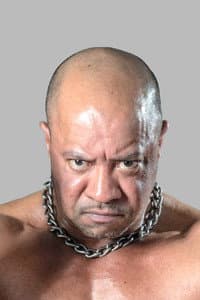 Jerome Fleisch in ROH: Night of Champions