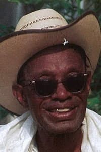 Lightnin' Hopkins in The American Folk Blues Festival 1962-1966, Vol. 2