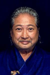 Sammo Kam-Bo Hung in The Best of the Martial Arts Films