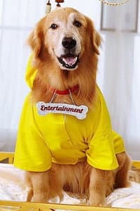 Junior in It's Entertainment