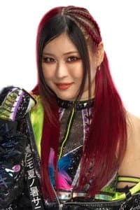 Masami Odate in WWE Evolution 2025 Post-Show
