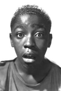 Paul White in Adventure's End