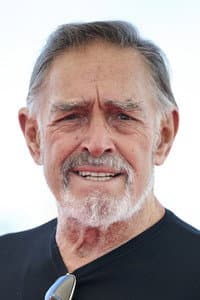 Fabio Testi in S+H+E: Security Hazards Expert