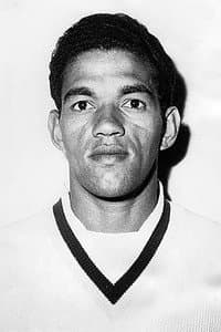 Garrincha in Goal!