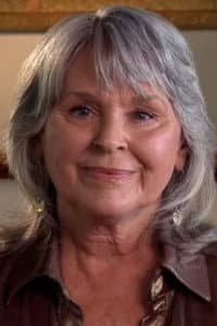 Susan Gailey in Police Woman
