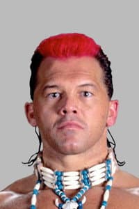 Chris Chavis in WWE Wham, Bam, Bodyslam!