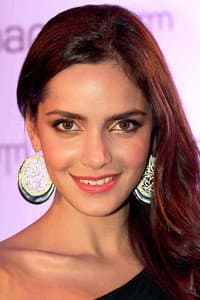 Shazahn Padamsee in Love Journey
