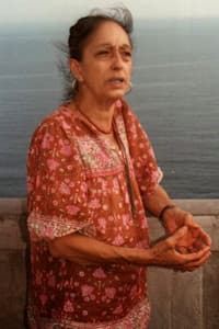 Concetta Barra in Don Chisciotte