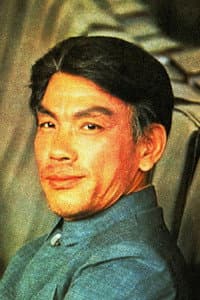 Zhao Erkang in 中華英雄