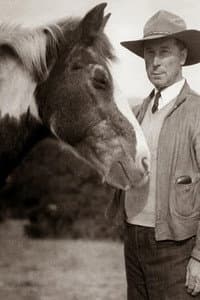 Fritz the Horse in The Taking of Luke McVane