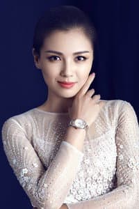 Liu Tao in Bao Xue Jiang Zhi