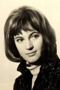 Vesna Krajina in Nesreća