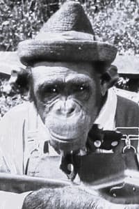 Snooky in The Rajah
