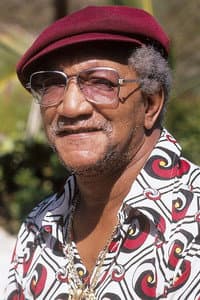 Redd Foxx in Amos 'n' Andy: Anatomy of a Controversy