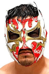 Tokimitsu Ishizawa in Pride 15: Raging Rumble