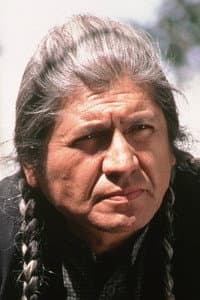 Gordon Tootoosis in Alien Thunder