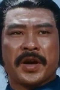 Lung Fei in 獨臂拳王