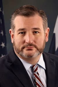 Ted Cruz in President Trump: Can He Really Win?