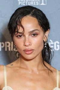 Zoë Kravitz in Catwoman: The Feline Femme Fatale