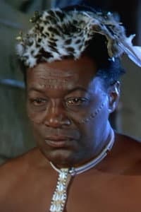 Everett Brown in Malice in the Palace