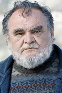 Nenad Vukelić in A Perfect Day