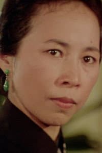 Linda Lin Ying in Nan bei zui quan
