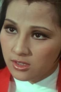 Lily Chen Ching in Từ Sài Gòn đến Điện Biên Phủ